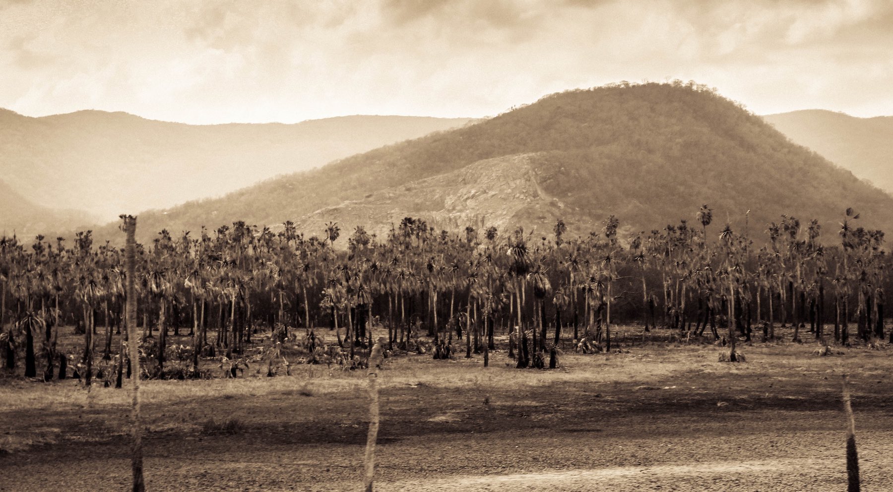 Around the World: Brasil