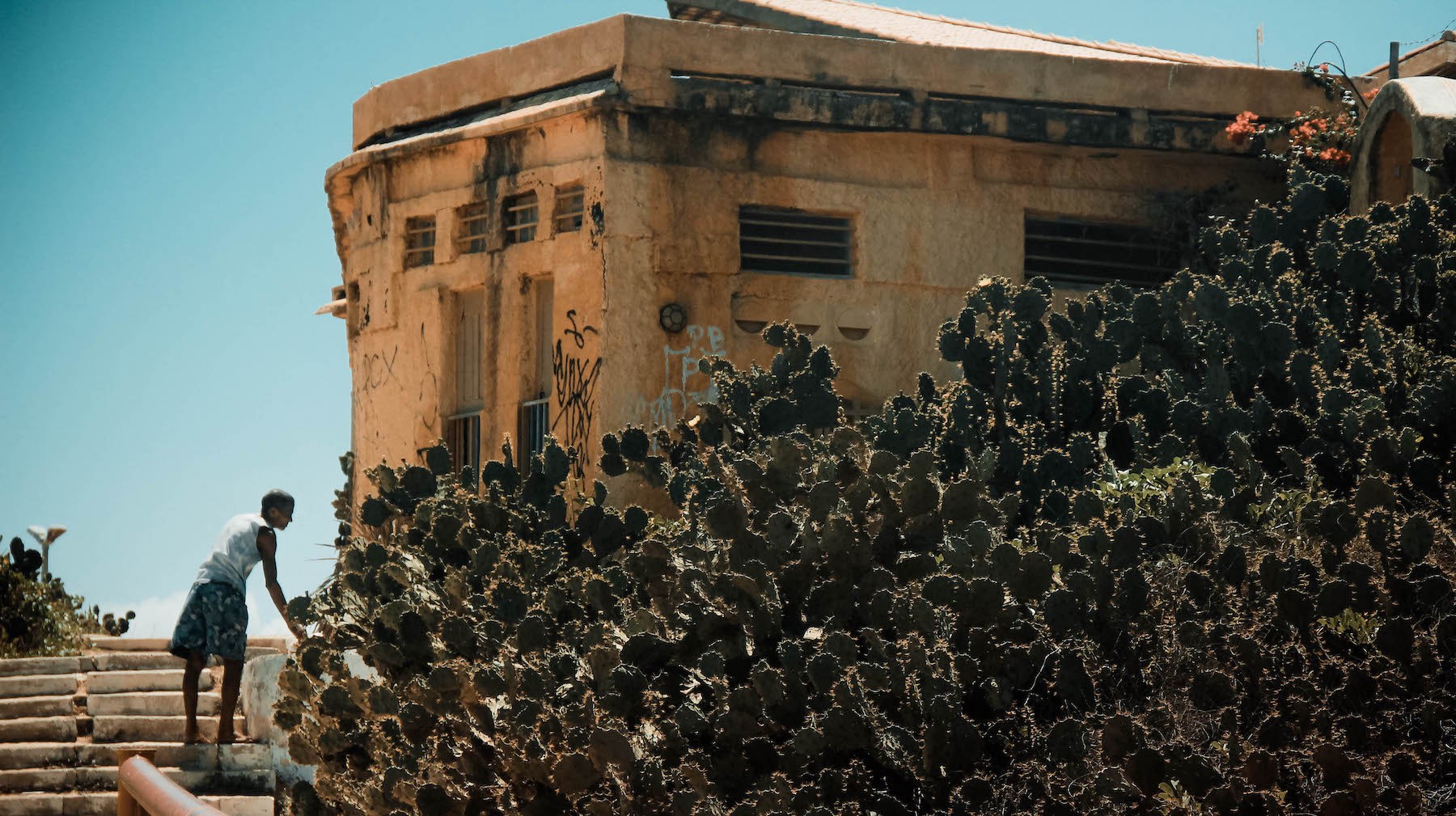 Around the World: Brasil