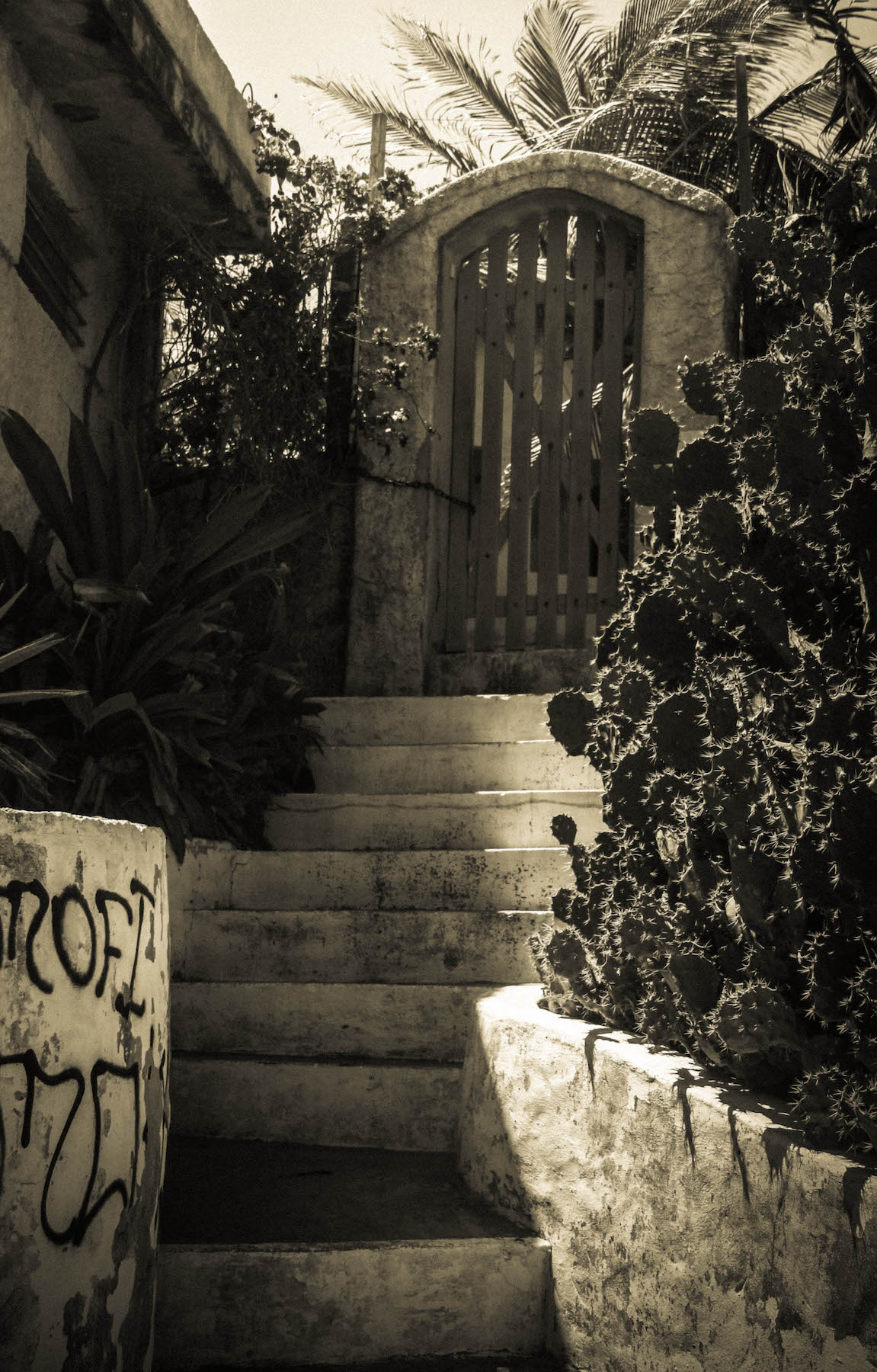 Around the World: Brasil