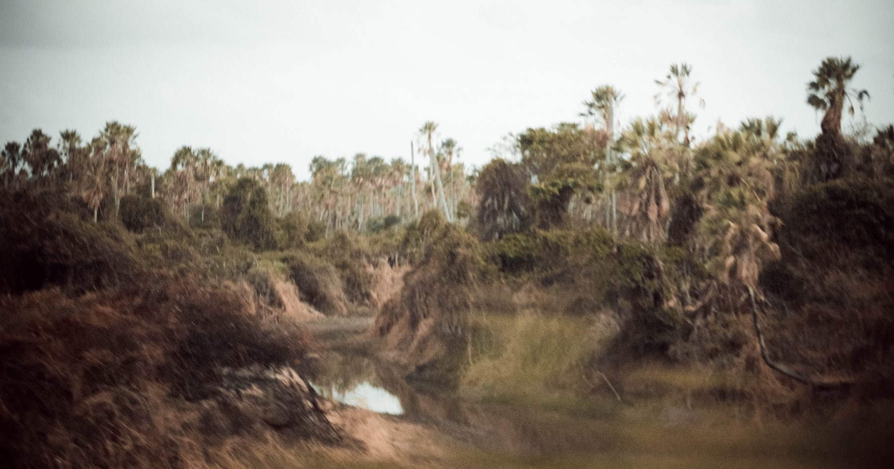 Around the World: Brasil